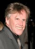 photo Gary Busey