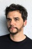 photo Wagner Moura (Stimme)