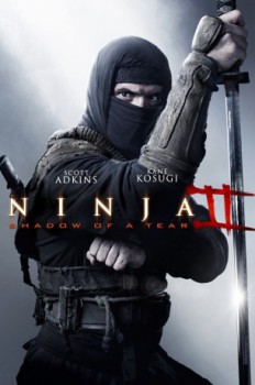 poster Ninja - Pfad der Rache  (2013)